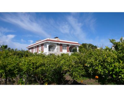 Charming spanish Finca style in Busot with 5 bedrooms and private swimming pool!